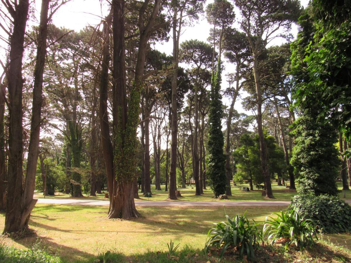 Casa Margaritas Holiday home Mar del Plata
